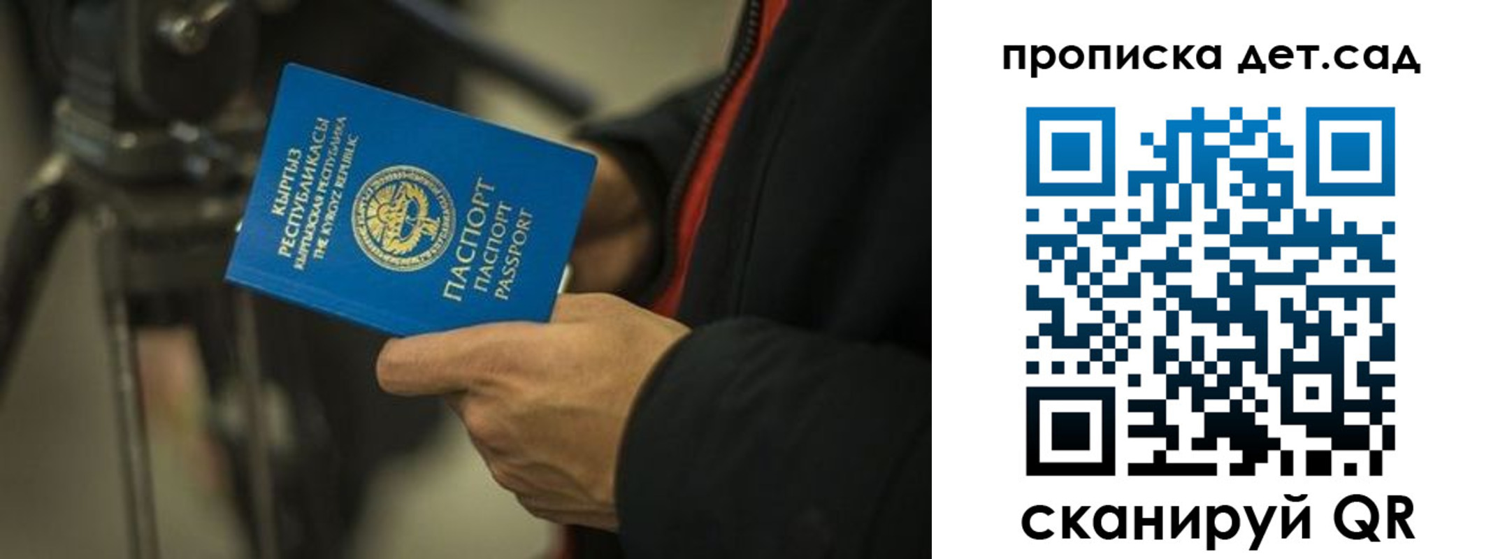 прописка поиск в Заинске